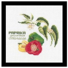 Набор для вышивания крестом Thea Gouverneur "Перчики", 15,5 х 15,5 см. 3041