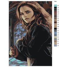 Картина по номерам T886 "Гарри Поттер. Гермиона Грейнджер" 40х60 Brushes Paints