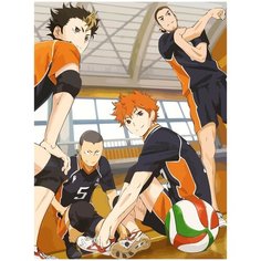 Картина по номерам на холсте Аниме Волейбол - 775 30X40