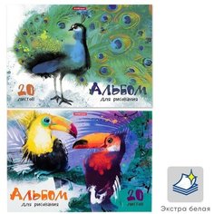 Альбом для рисования А4, 20 листов, на клею, Erich Krause "Птицы жарких стран", обложка мелованный картон, жёсткая подложка, блок 120 г/м2