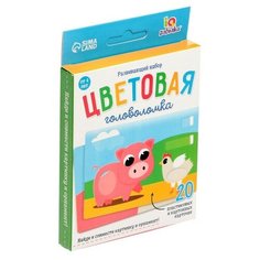 Развивающий набор ZABIAKA "Цветовая головоломка"