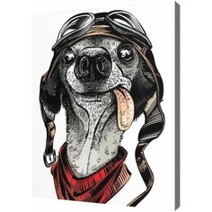 Картина по номерам Смешной пес 40х50 см 000 Art Hobby Home
