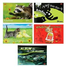 Альбом для рисования А4, 24 листа на скрепке "Ассорти-выпуск №2", блок 100 г/м2, микс Hatber