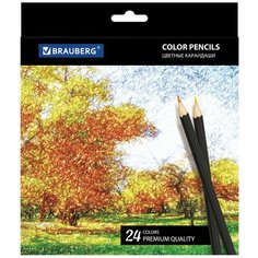BRAUBERG Цветные карандаши Artist line 24 цвета (180565)