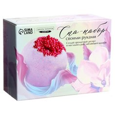 Школа талантов Набор для творчества. SPA-набор своими руками: десерт для ванны Нежность