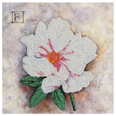 Набор для вышивания бисером "P-Пион", 30x30 см, арт. 50349 Gluriya