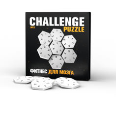 IQ Головоломка пазл Challenging Puzzle №3 Соты настольная игра в подарок