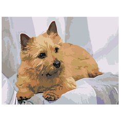 Картина по номерам, "Живопись по номерам", 30 x 40, zai503176