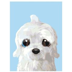 Картина по номерам, "Живопись по номерам", 30 x 40, A588, белый пёс, животное, маленький, милый, пушистый