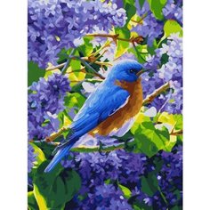Картина по номерам Птичка на сирени 40х50 см 000 Art Hobby Home