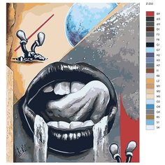 Картина по номерам Z-233 "Соблазнительные губы" 70x90 Brushes Paints