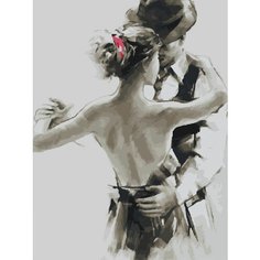 Картина по номерам Танец на двоих 40х50 см Hobby Home