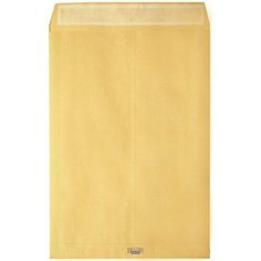 Крафт конверт B4 (250*353мм), стрип-лента, клапан прямой, боковое расширение (LargePack). Конверты - в упаковке 200 шт. Pack24