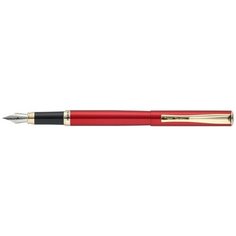 Ручка перьевая PIERRE CARDIN PC0870FP
