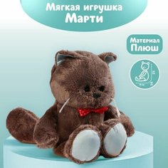 Мягкая игрушка "Именинник Marti", котик, 25 см Ma.Brand
