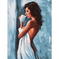 Картина по номерам Начало дня 40х50 см Hobby Home