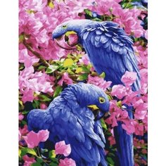 Картина по номерам на холсте с деревянным подрамником Синие попугаи Paintboy