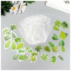 Наклейки для творчества "Листья в банке" набор 35 шт 12,5х9,1 см Без бренда