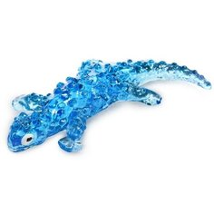 Липучка «Игуана», цвета микс Noname