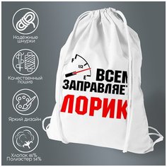 Сумка для обуви CoolPodarok Всем заправляет Лорик