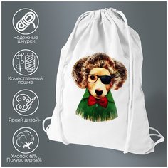 Сумка для обуви CoolPodarok Собака в парике красная бабочка