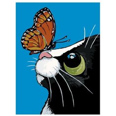 Картина по номерам, "Живопись по номерам", 54 x 72, A376, котёнок, бабочка, интерес, удивление, взгляд, животное, рисунок