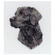 Набор для вышивания Anchor, MEZ, Венгрия "Black Labrador" 11х8 см, арт. PCE218