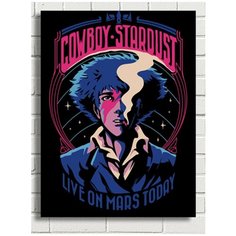 Картина по номерам Аниме Ковбой Бибоп - 7763 В 30x40