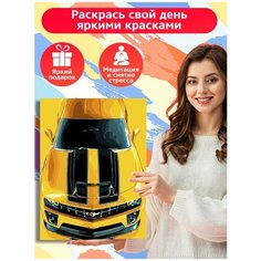 Картина по номерам автомобили (спорт-кар, гонки) - 7828 В 30x40