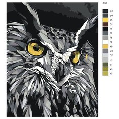 Картина по номерам Q32 "Сова" 60x80 Brushes Paints