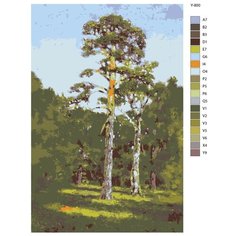 Картина по номерам Y-800 "Репродукция картины - Сосна. Архип Куинджи" 60x90 Brushes Paints