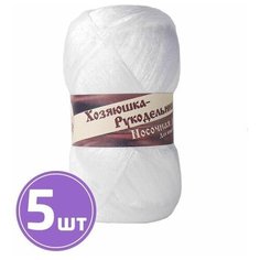 Пряжа для вязания крючком спицами Хозяюшка-рукодельница Носочная добавка плюшевая средняя полипропилен 100%, цвет 25 белоснежный 5 шт. по 50 г, 250 м