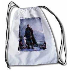 Мешок для сменной обуви с принтом Игра Pillars of Eternity II Deadfire - 33886 Brut Boxers