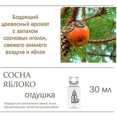 Сосна и яблоко, отдушка для свечей и мыла - 30 мл Candle M