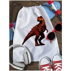 Мешок для сменной обуви Динозавры - 2558 Brut Boxers
