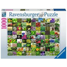 Пазл Ravensburger 1000 деталей: 99 трав и специй 159918