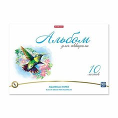 Альбом для акварели А4 10л 180г/м2 на клею ErichKrause Birds (комплект из 13 шт)