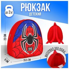 Рюкзак дошкольный детский "Паучок", р-р. 23*20.5 см Нет бренда