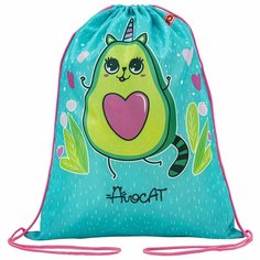 Мешок для обуви Пифагор "Avocat", 1 отделение, 40х32 см