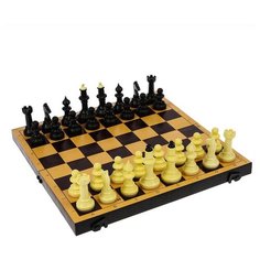 Настольная игра 2 в 1 "Семейная": шахматы, шашки, доска пластик 30 х 30 см NO Name
