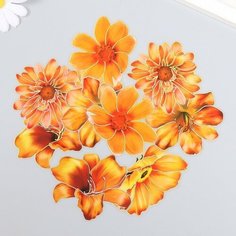 Наклейки для творчества "Оранжевые цветы" набор 10 шт 0,2х8,5х13,3 см NO Name