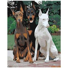 Картина по номерам Три Добермана 40х50 см АртТойс