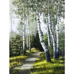 Картина по номерам Тропинка в лесу 40х50 см АртТойс