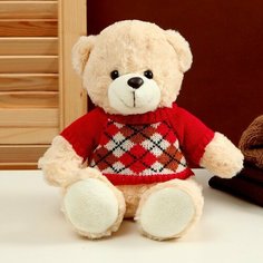 Мягкая игрушка "Медведь" в кофте с ромбиками, 25 см, цвет микс