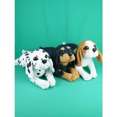 Мягкая игрушка 3 реалистичных песика 50см (Бигль Долматин Ротвеллер Собака Собачка Щенок) Компл 3шт. АКИМБО КИТ