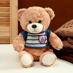 Мягкая игрушка «Медведь» в полосатой кофте, 25 см, цвет микс