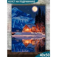 Картина по номерам 40х50 Paintboy