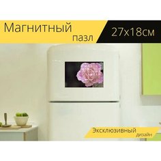 Магнитный пазл "Розы, цветок, растения" на холодильник 27 x 18 см. Lots Prints