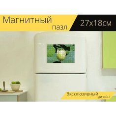 Магнитный пазл "Лотос, водяная лилия, цвести" на холодильник 27 x 18 см. Lots Prints