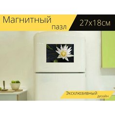 Магнитный пазл "Лотос, цветок, белый" на холодильник 27 x 18 см. Lots Prints